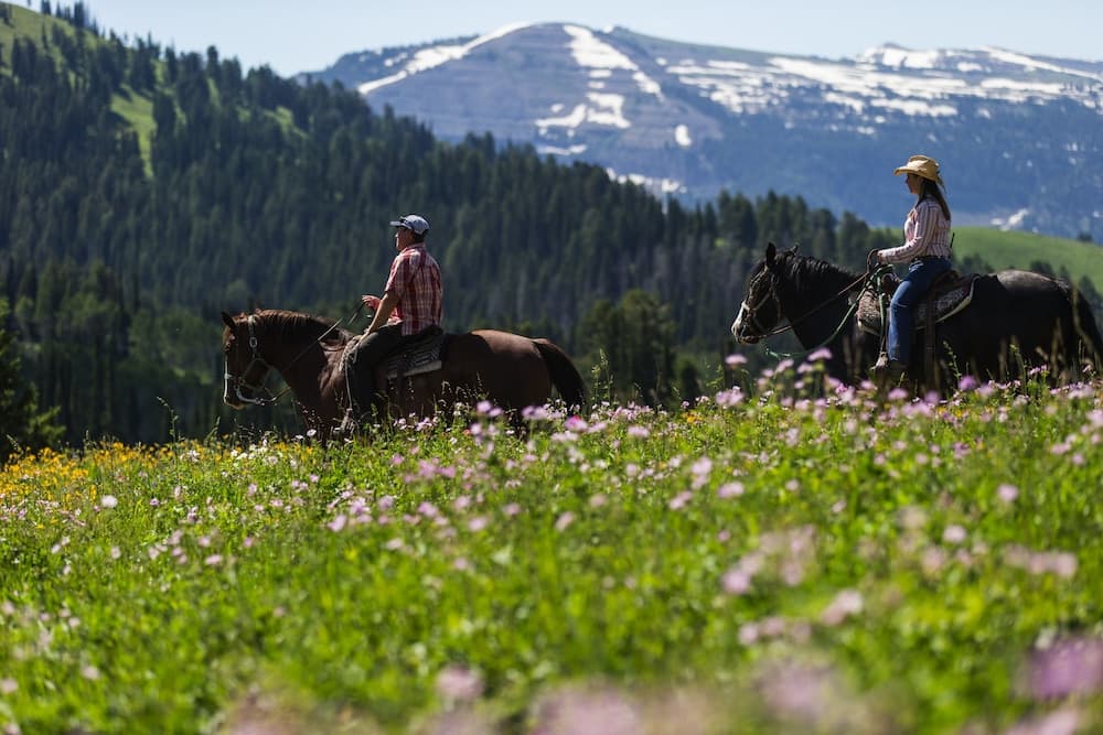 Children's activities