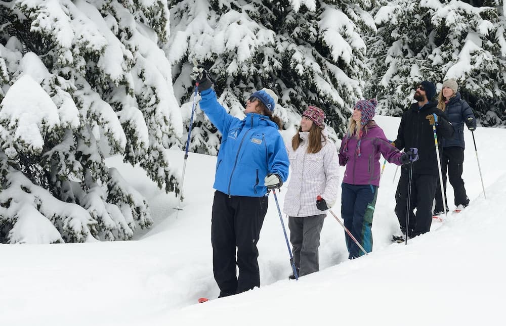 Snowshoeing